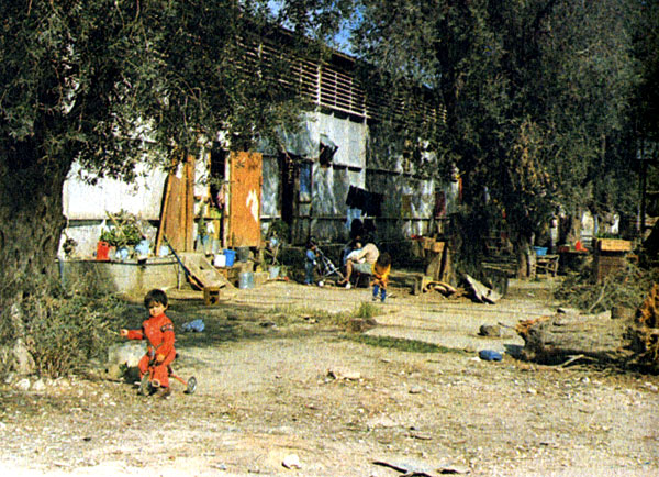 Лагерь беженцев на старой никозийской ярмарке. Для сотен людей ее заброшенные павильоны на несколько лет сделались домом