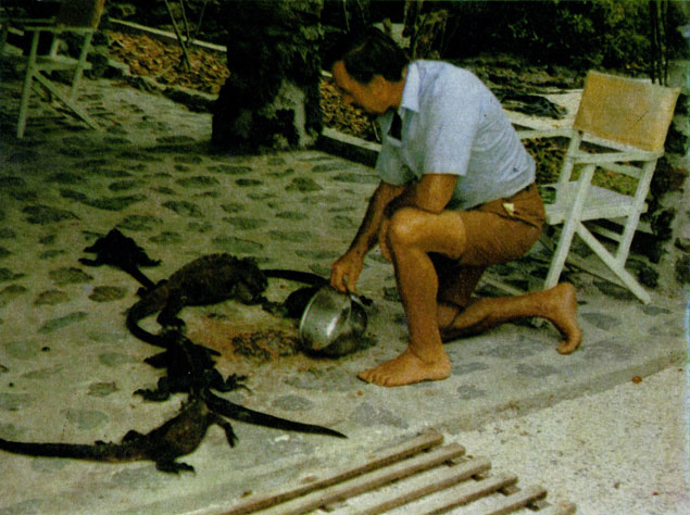 Карлос Ангемайер кормит морских игуан в своем доме в порту Айора 