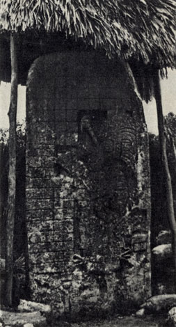 А эти две стелы были недавно найдены еще в одном центре поселения древних майя - Коба 