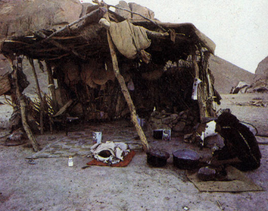 Бедуины племени халика на стоянке