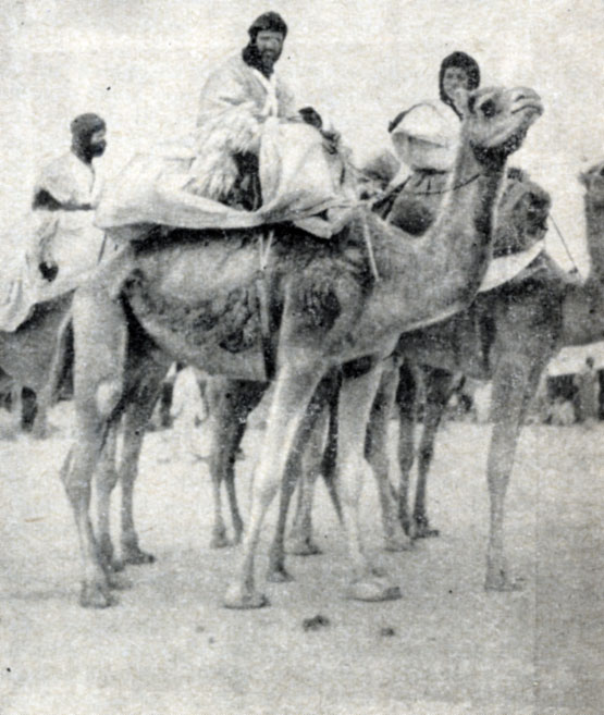 Кочевники сахарских районов Марокко