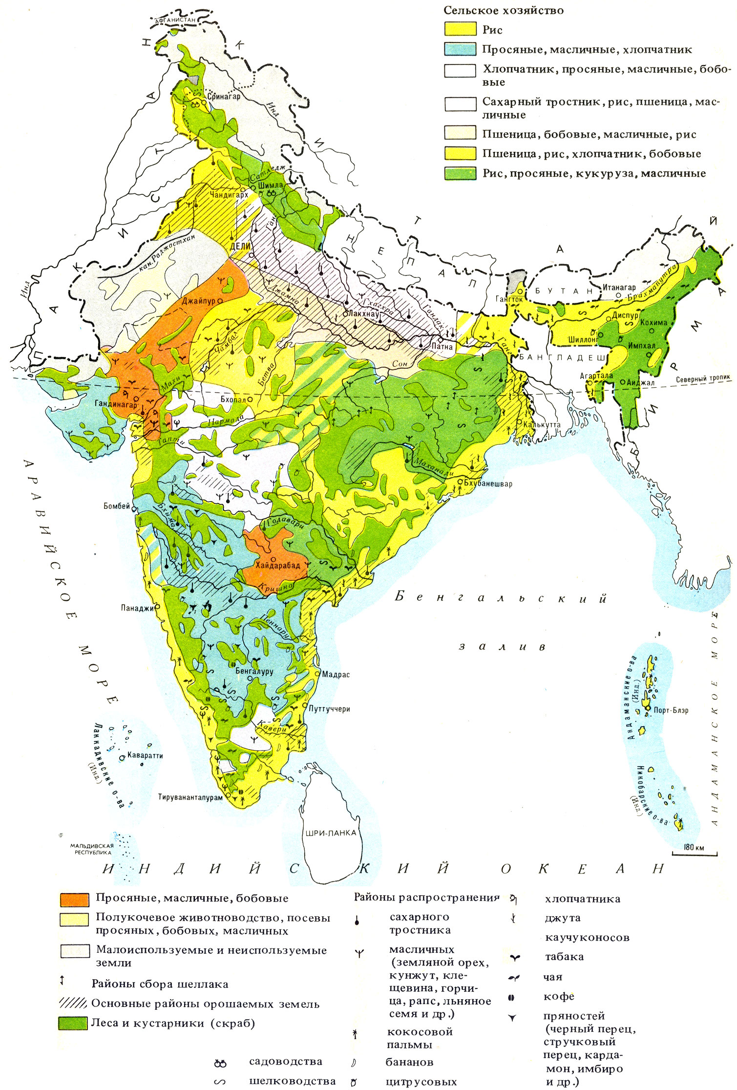 Доклад: Сельское хозяйство Индии и Китая