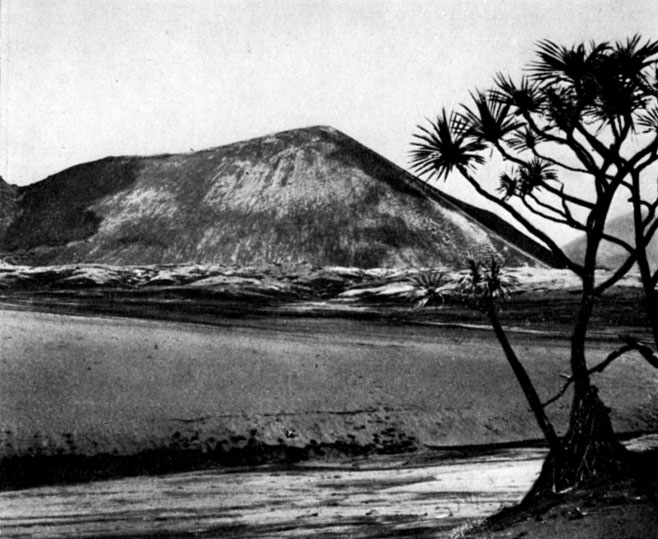 Действующий вулкан Иасур на острове Танна. Извержения вулкана превратили часть острова в безжизненное пространство; лишь кое-где растет панданус (справа)