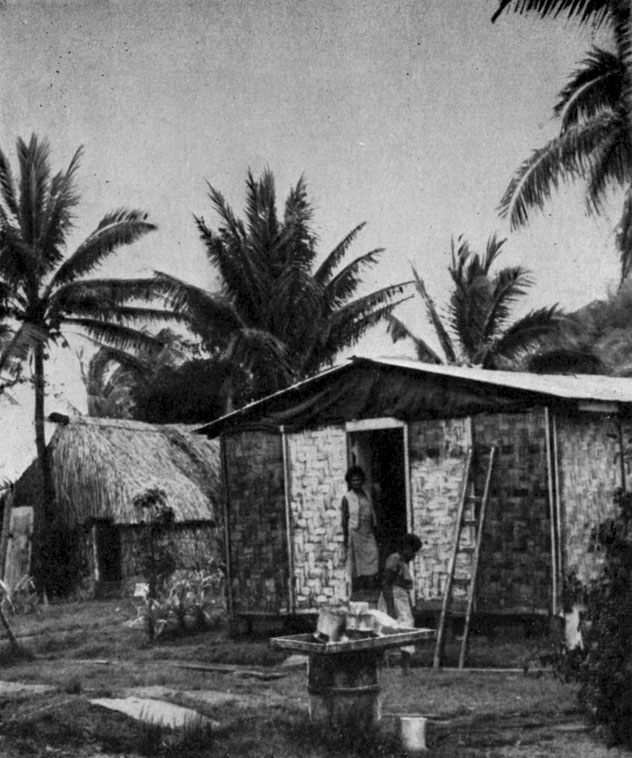 В фиджийской деревне