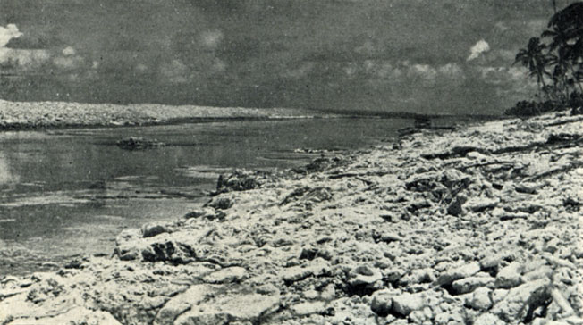 Штормовой вал высотой несколько метров отгородил от океана узкую лагуну (атолл Фунафути)