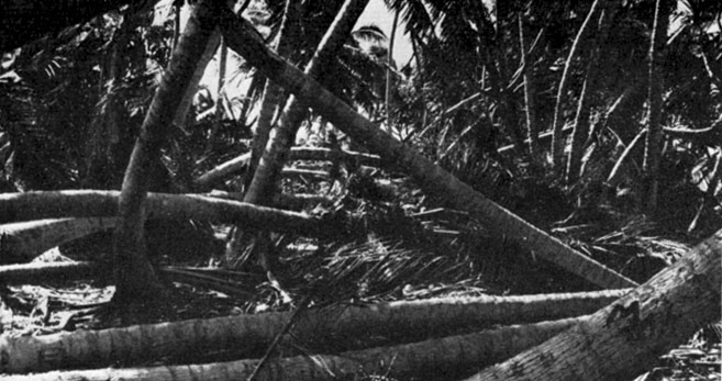 Страшные последствия тайфуна, прошедшего в октябре 1972 года на атолле Фунафути
