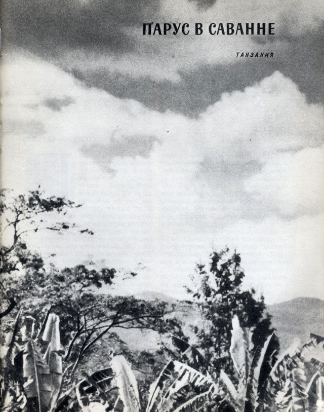 Парус в саванне Танзания. 