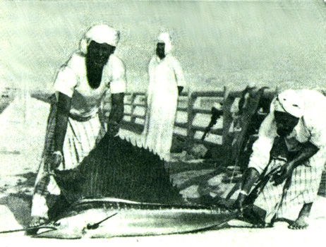 Рыбаки Абу-Даби в оазисе Эль-Айн (ОАЭ)