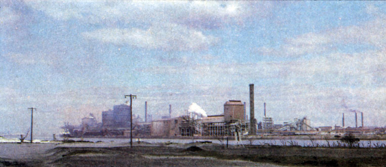 Панорама металлургического комбината в Ньюкасле