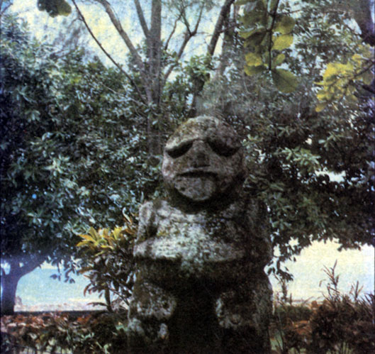 На островах Полинезии часто можно встретить каменные статуи божеств