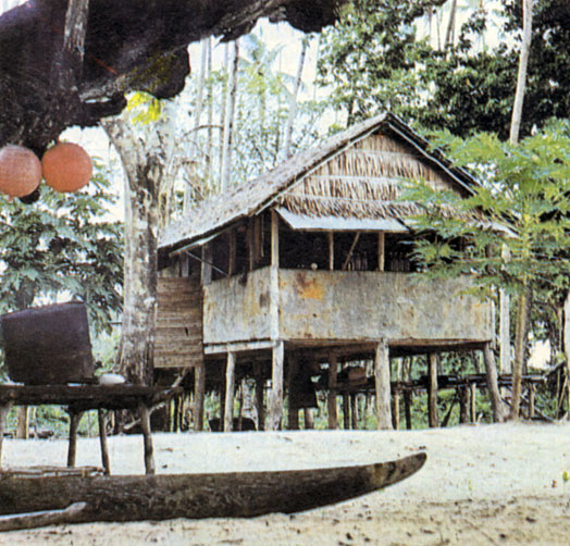 Современный дом в меланезийской деревне