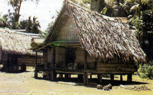 Традиционный меланезийский дом