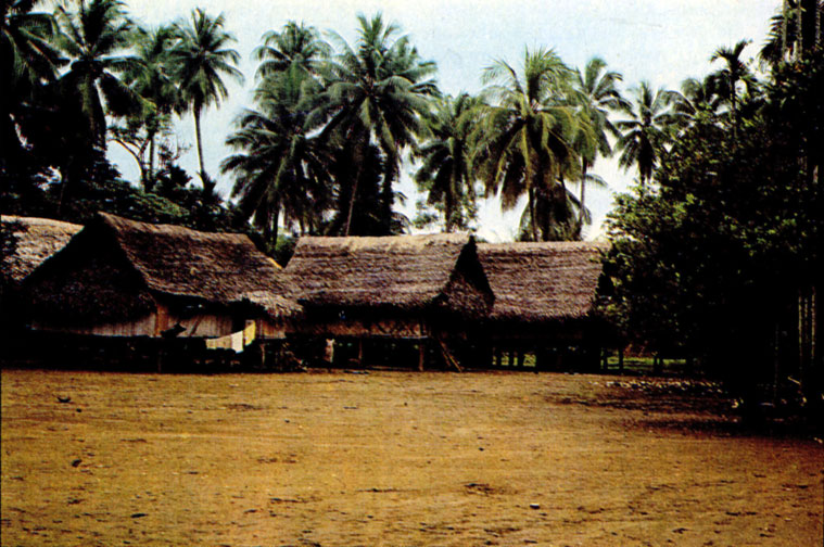 Деревня Бонгу, в которой более ста лет назад жил Н. Н. Миклухо-Маклай