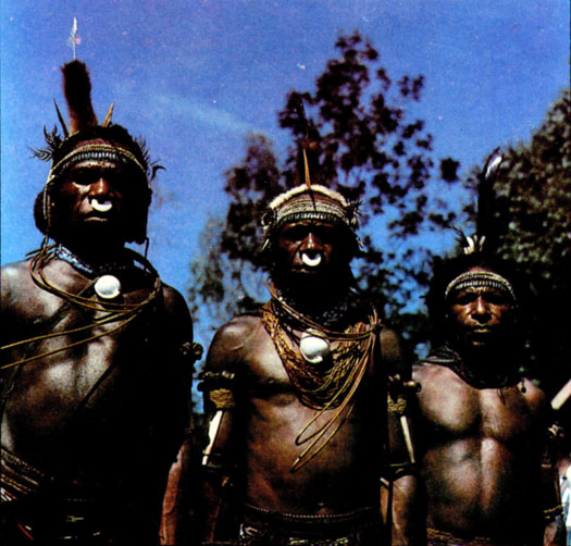 Папуасы в одежде воинов