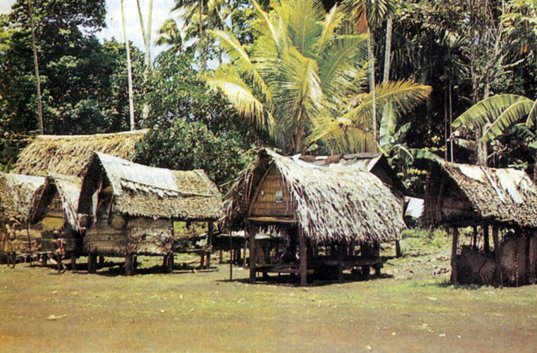 Деревня на островах Тробриан (Папуа-Новая Гвинея)