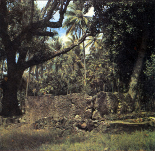 Древнее полинезийское святилище марае, построенное из кораллового известняка