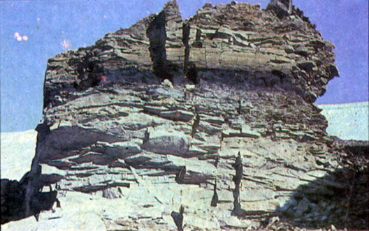 Пласт каменного угля мощностью 0,5 м в пермской осадочной толще оазиса Эймери (горы Принс-Чарльз)