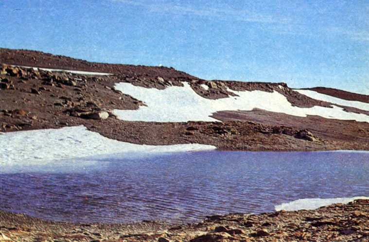 Летом большинство озер в оазисах свободно ото льда