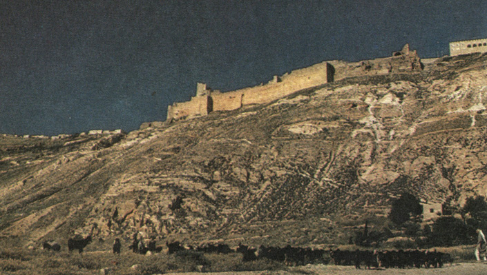 Замок в Кераке - один из опорных пунктов крестоносцев