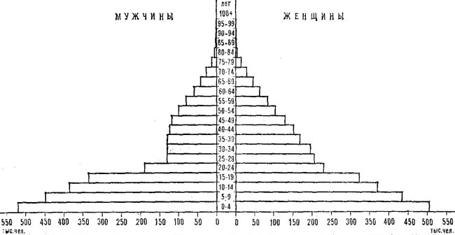 Возрастно-половая пирамида населения ЙАР. 1980