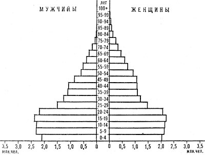 Возрастно-половая пирамида населения Южной Кореи. 1981