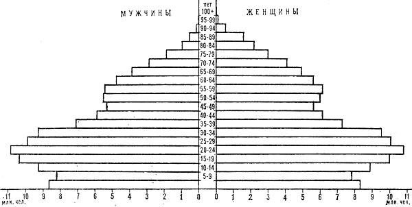 Возрастно-половая пирамида населения США. 1981