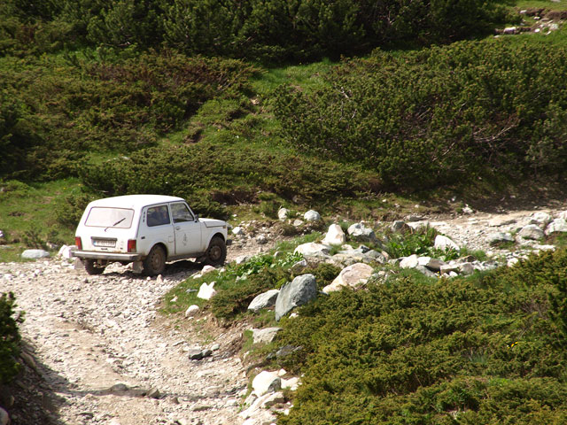      - https://upload.wikimedia.org/wikipedia/commons/b/b8/Lada-Niva-on-a-mountain-trek.jpg