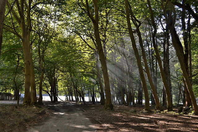   - https://upload.wikimedia.org/wikipedia/commons/thumb/4/4e/_.__._.JPG/1024px-_.__._.JPG